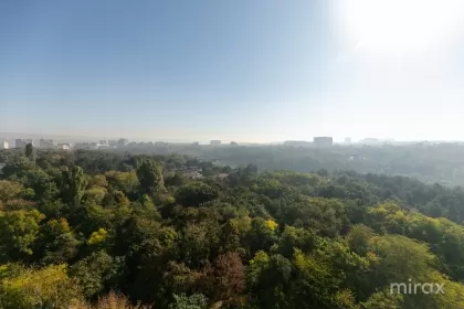 str. Melestiu, Centru, Chișinău imaginea 190787