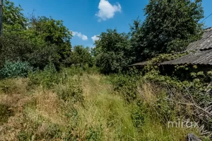 s. Suruceni, Ialoveni, Moldova, mun.Chisinau image 225396