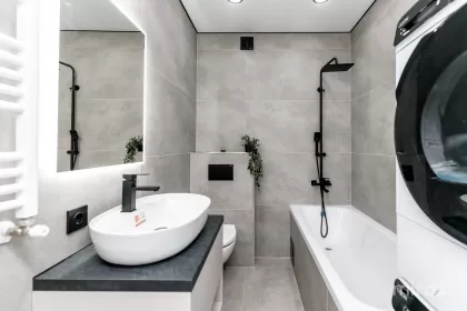 bd. Mircea cel Bătrân, Ciocana imaginea 243548