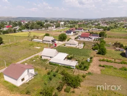 Țânțăreni, Anenii Noi , Chișinău imaginea 225404