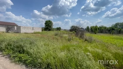 Țânțăreni, Anenii Noi , Chișinău imaginea 225407