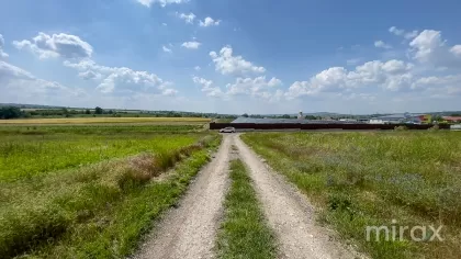 Țânțăreni, Anenii Noi , Chișinău imaginea 225408