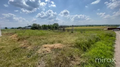 Țânțăreni, Anenii Noi , Chișinău imaginea 225410