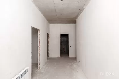 ул. Василе Лупу, Буюканы, Кишинев изображение 231909