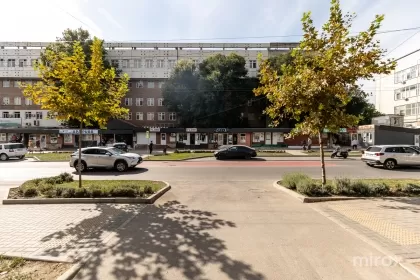 str. Nikolai Zelinski, Botanica imaginea 236176