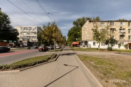 str. Nikolai Zelinski, Botanica imaginea 236179