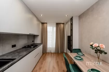 str. Ioana Radu, Buiucani, mun. Chișinău imaginea 223000