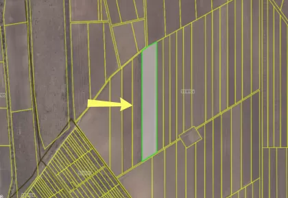 s. Horești, Ialoveni imaginea 238515