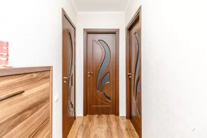 ул. Ион Буздуган, Буюканы, Кишинев изображение 242447