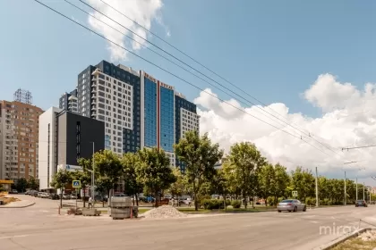 Мирча чел Бэтрын, Чеканы, Кишинёв