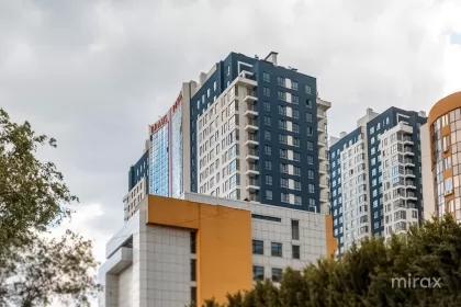 Мирча чел Бэтрын, Чеканы, Кишинёв