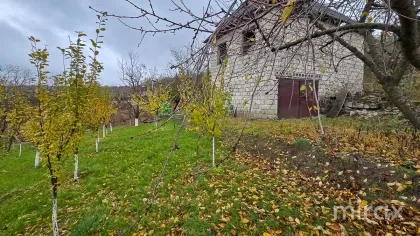 ИП Иванча, Оргеев, Кишинев изображение 194156