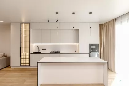 ул. Игорь Виеру, Думбрава, Кишинев изображение 238532