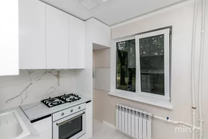 ул. Николая Зелинского, Ботаника, Кишинёв изображение 245703