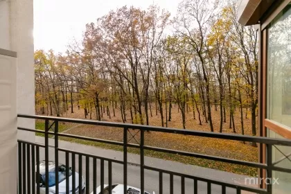 ул. Михаил Садовяну, Чокана, Кишинев изображение 238559