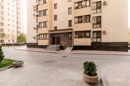 ул. Михаил Садовяну, Чокана, Кишинев изображение 238560