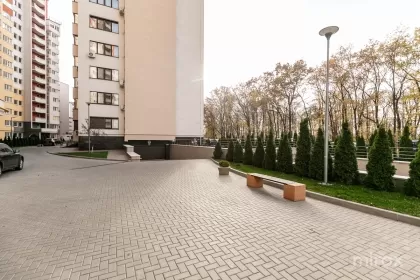 ул. Михаил Садовяну, Чокана, Кишинев изображение 238561