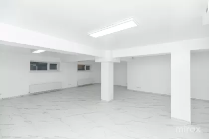 str. Alexandru cel Bun, Centru, Chișinău imaginea 239898