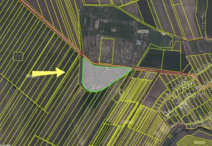 с. Романовка, Леова изображение 241121