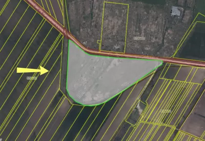 с. Романовка, Леова изображение 241120