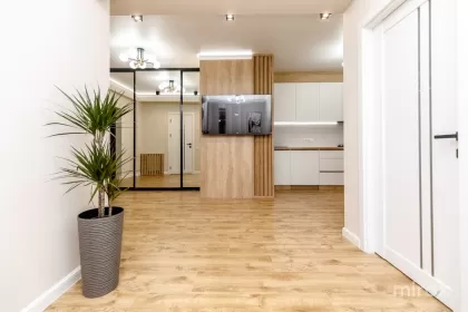 bd. Mircea cel Bătrân, Ciocana image 244611