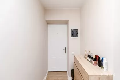 ул. Мирон Костин, Рышкань, Кишинев изображение 238609