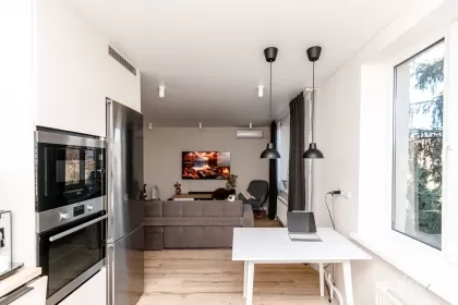 ул. Мирон Костин, Рышкань, Кишинев изображение 238606