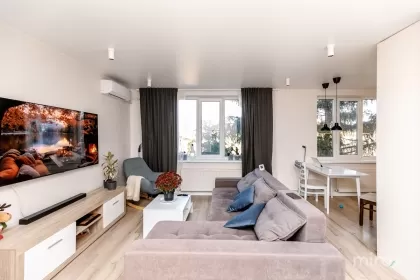 ул. Мирон Костин, Рышкань, Кишинев изображение 238604