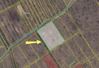 с. Дэнчень, Яловень image 243651