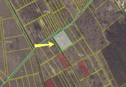 с. Дэнчень, Яловень image 243652