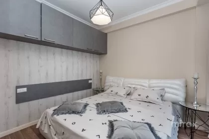 Лев Толстой, Центр, Кишинев
