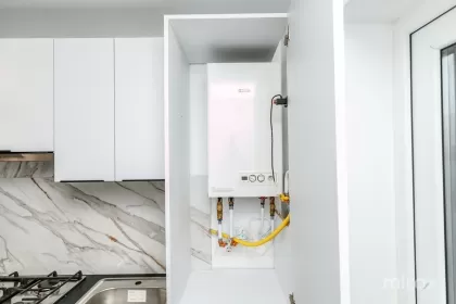 ул. Кавказ, Дурлешть, Кишинэу изображение 240008