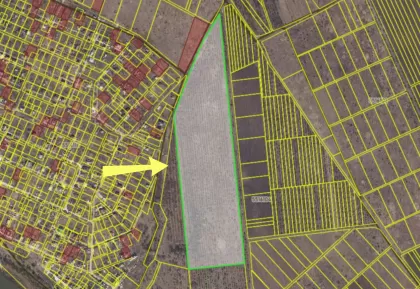 с. Дэнчень, Яловень изображение 243654