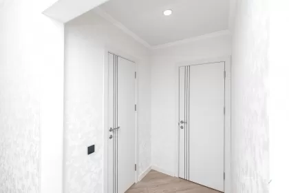 bd. Cuza Vodă, Botanica, Chișinău imaginea 241212