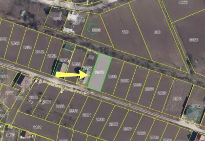 с. Мэгдэчешть, мун. Кишинёв изображение 242588