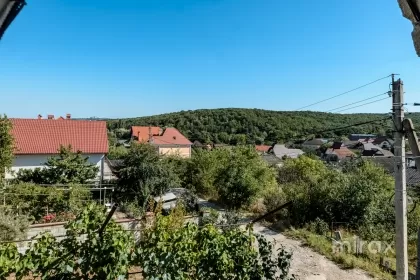 Dumbrava, mun. Chişinău imaginea 232227