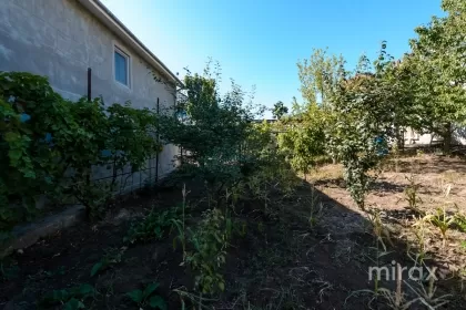 Dumbrava, mun. Chişinău imaginea 232228