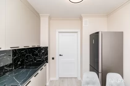 ул. Михаил Садовяну, Чокана, Кишинев изображение 238785