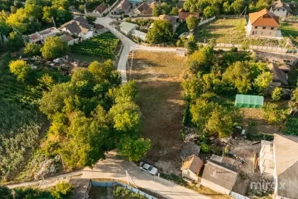 s. Drăsliceni, Criuleni, Moldova imaginea 231098