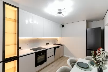 bd. Mircea cel Bătrân, Ciocana imaginea 241282