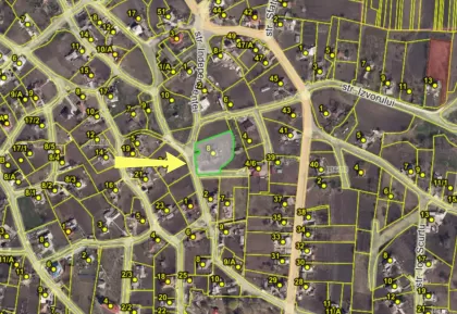 s. Cruzești, mun. Chișinău imaginea 242608