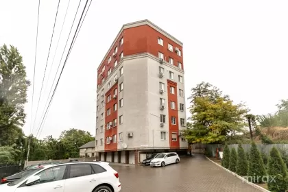ул. Николае Титулеску, Ботаника изображение 235154