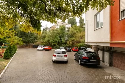 ул. Николае Титулеску, Ботаника изображение 235153