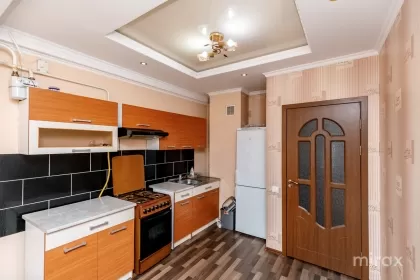 ул. Николае Титулеску, Ботаника изображение 235148