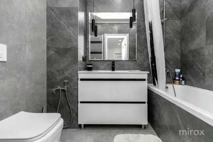 str. Albișoara, Centru, Chișinău image 238824