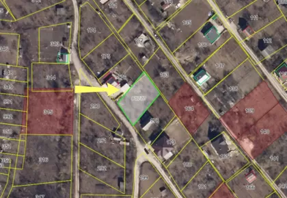 Dumbrava, mun. Chişinău imaginea 242610