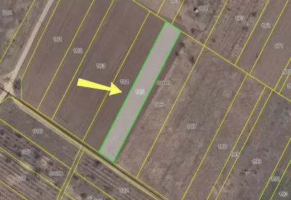 с. Гидигич, Кишинёв, Молдова изображение 243765