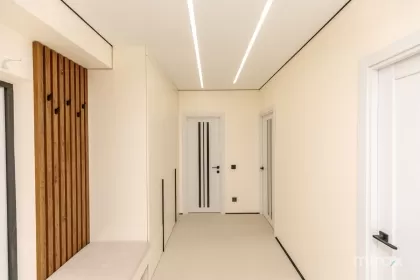 ул. Ателиерелор, Дурлешть, Кишинев изображение 244745