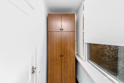 бул. Куза Водэ, Ботаника, Кишинев изображение 236426