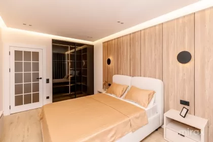 ул. Василе Лупу, Буюканы изображение 243842